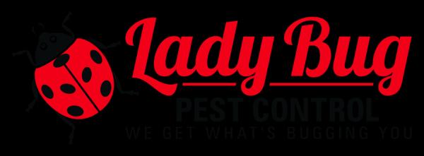 Lady Bug Pest Control