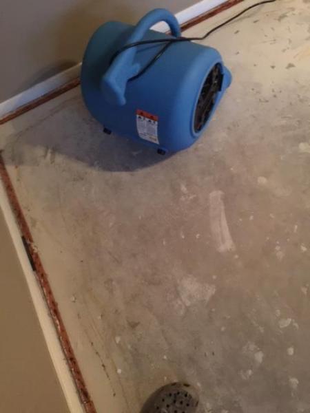Humble Carpet Cleaning Pros