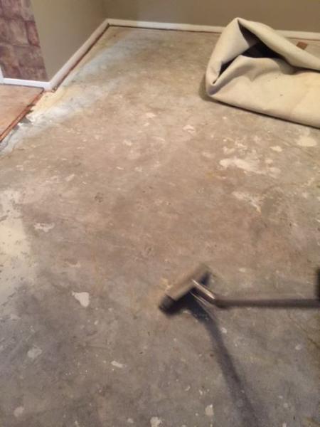 Humble Carpet Cleaning Pros