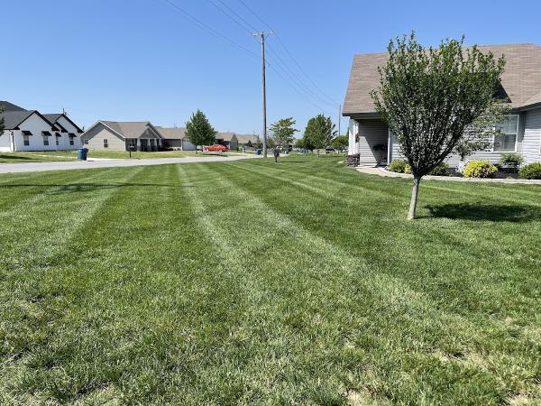 Fine Blades Lawn Care LLC