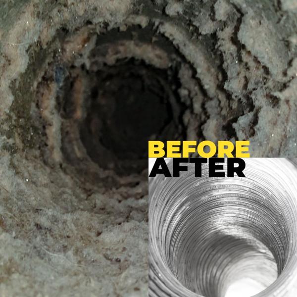 Vortex Restoration