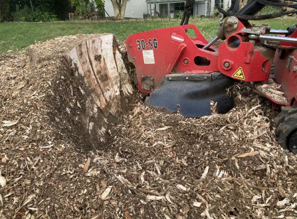 Stump Removal Pittsburgh