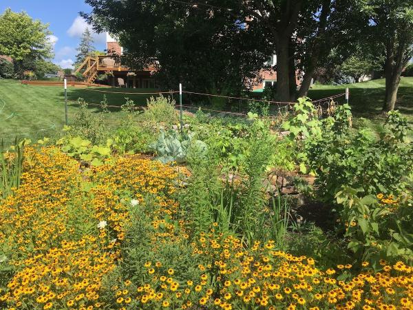 Easypeasy Garden Solutions