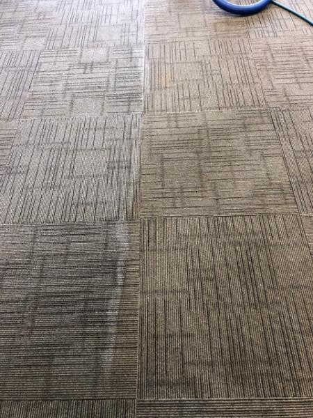 Blue Water Carpet Care
