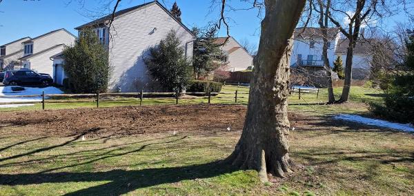 Specialty Tree Service