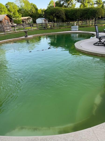 Lucky Duck Pool Services & Repair