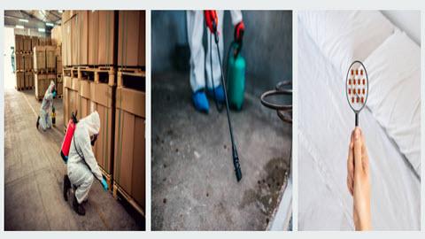 Wynton's Pest Control