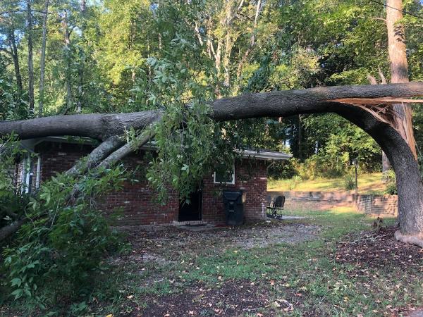C&C Tree Service