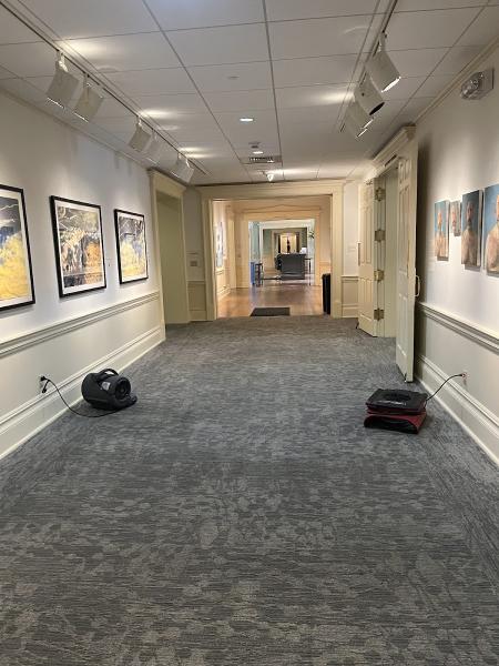 New Life Carpet Cleaning Services