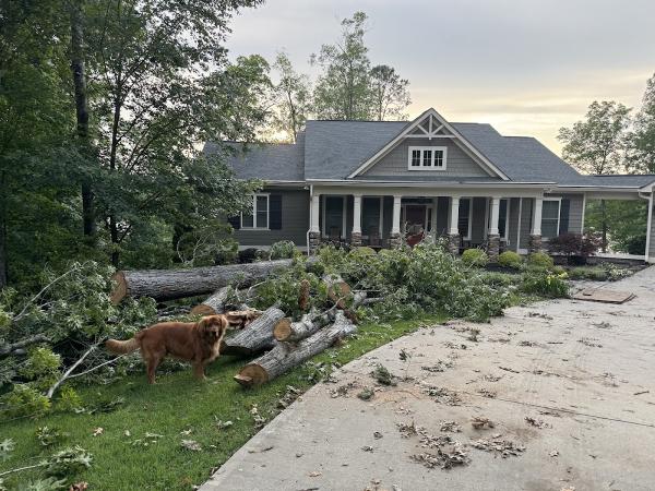 Infinity Tree Service