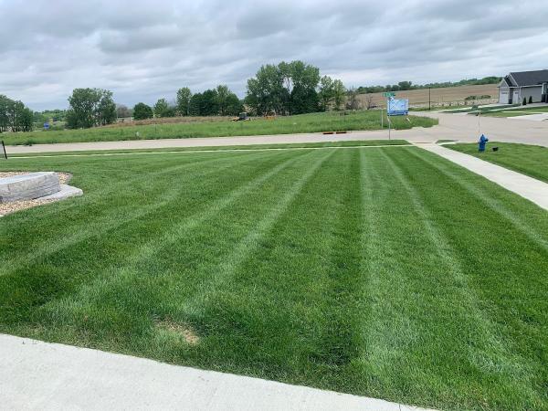 Meester Lawn Care