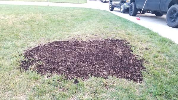 Braun's All-Year Landscaping LLC