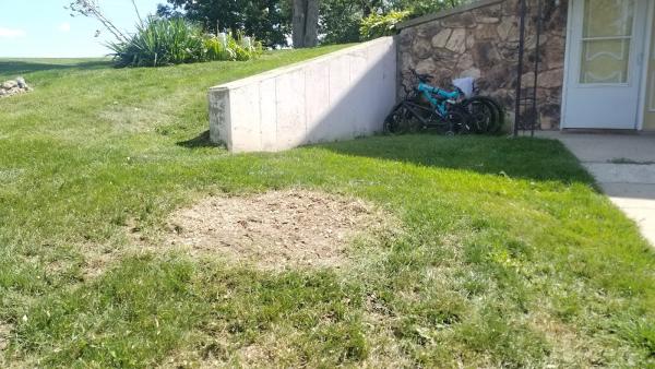 Braun's All-Year Landscaping LLC