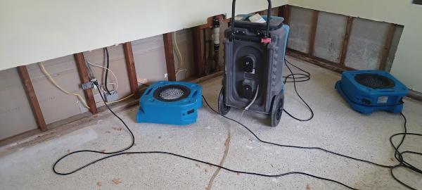 Discount Water and Mold Removal LLC