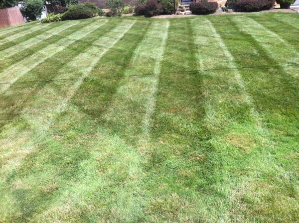 Good Man Mow & Plow Services LLC