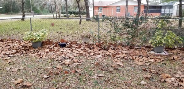 Mike's Premier Lawn Service LLC