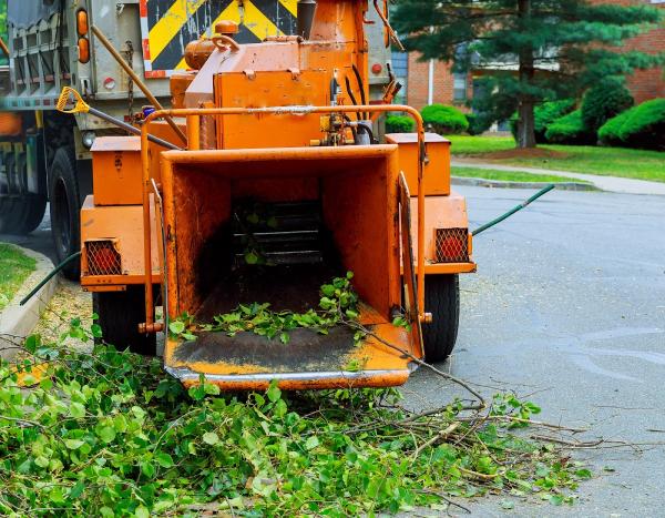 Diamond State Tree Experts