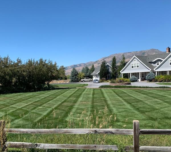 Wild Horse Lawn Care LLC