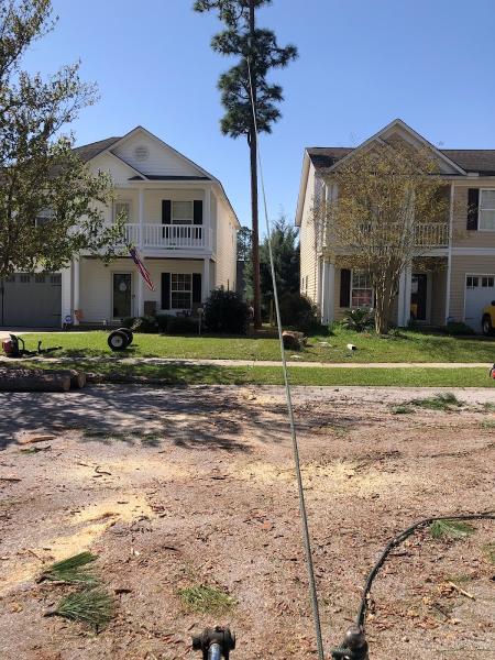 Dunlap's Tree Service