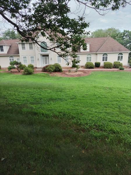 Marotta Tree Service & Landscaping LLC