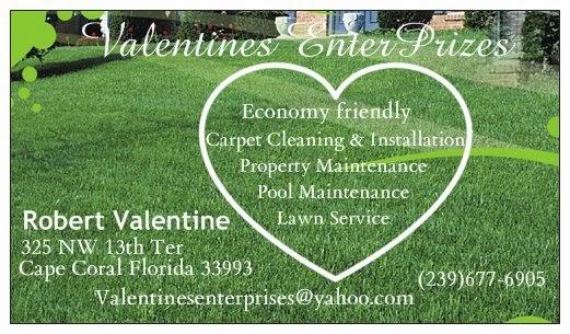 Valentines Enterprizes