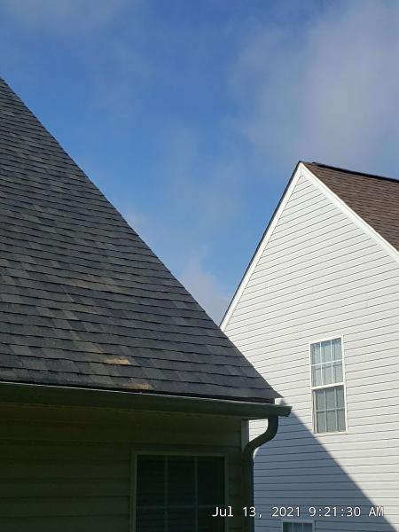Roof Top Sentinels