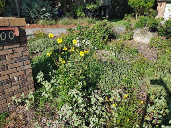 Wise Hands Landscaping Services