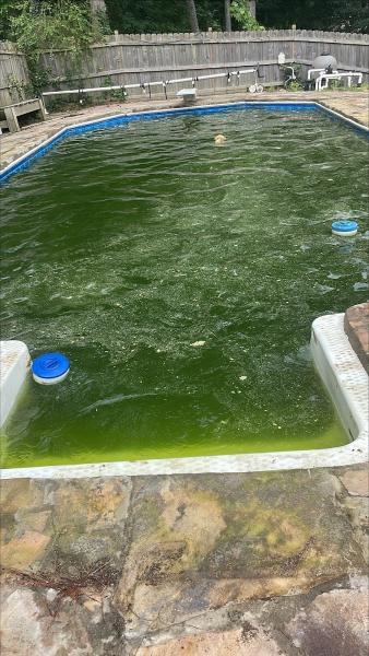 Sweetwater Pool Service