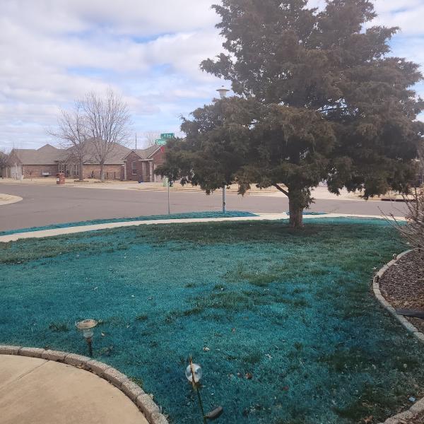 Don's Lawn & Weed Control