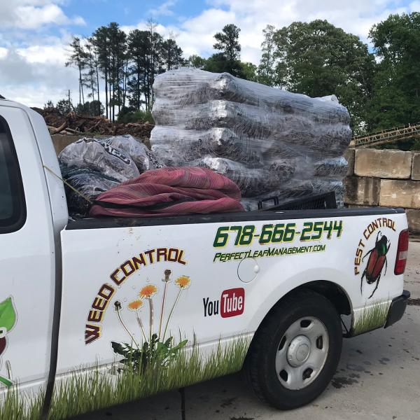 Perfect Leaf Management LLC