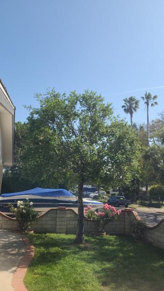Vero's Tree Service