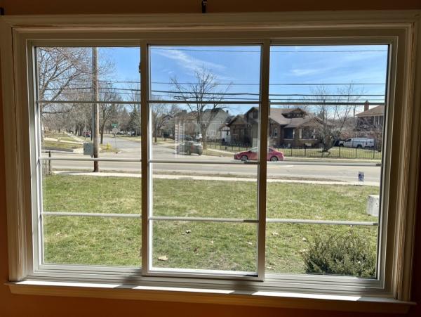 Polar Seal Windows
