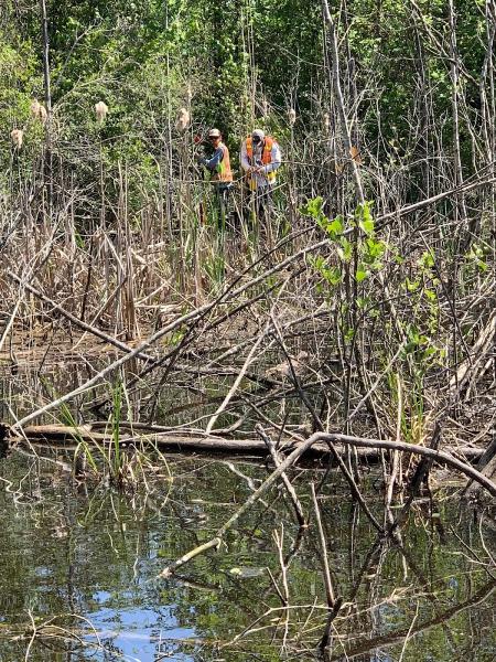 Saltwater Surveying