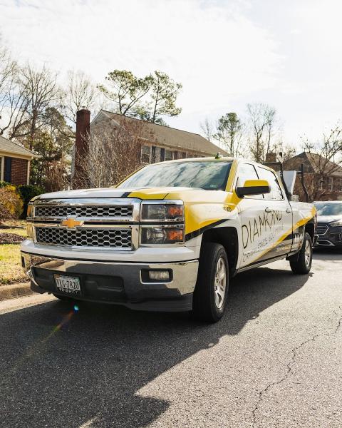 Diamond Exterminators