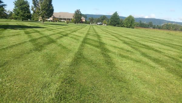 Green Acres Lawn Care