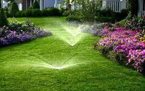 Tampa Irrigation Service