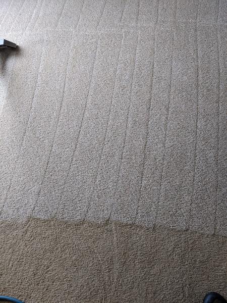 Absolute Carpet Care