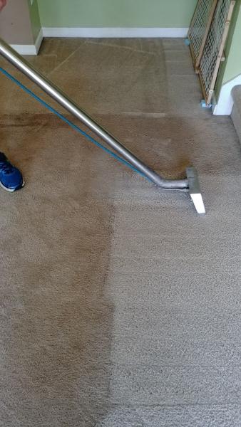 Absolute Carpet Care