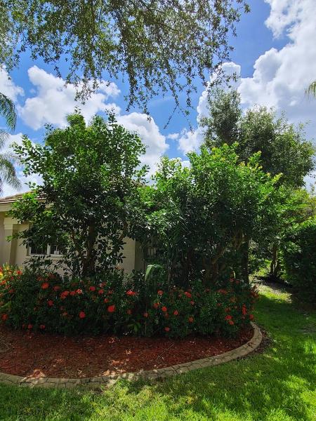 Johnson's Tree Service & Stump Grinding