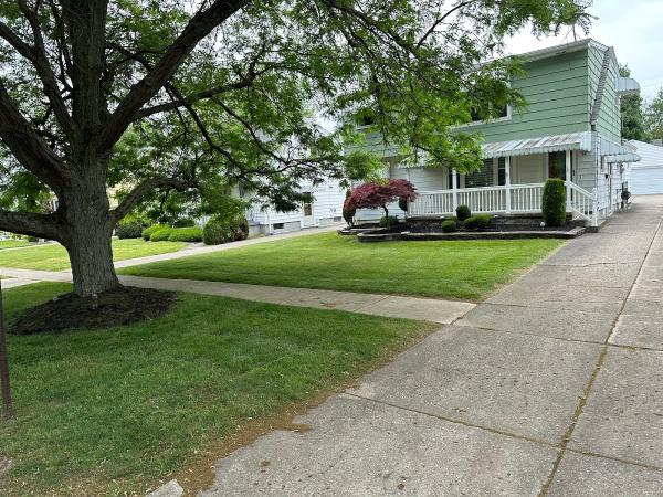Buffalo Lawn & Pest Services