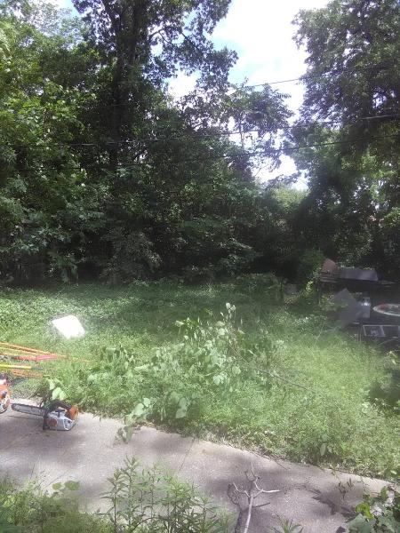 Tim's Lawn Care