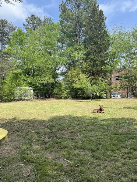 Yard Love Lawn Care and Landscaping