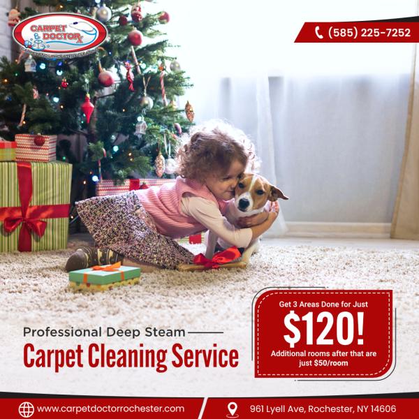 Carpet Doctor