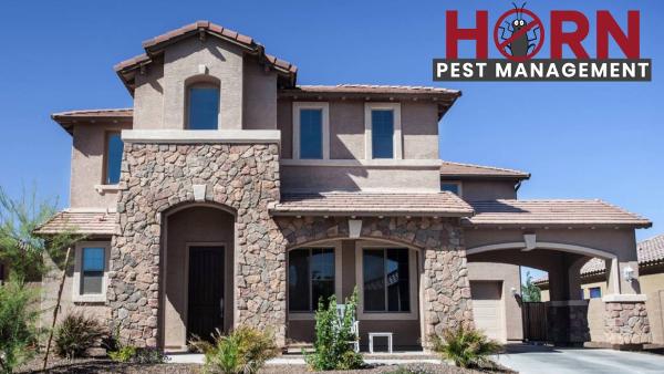Horn Pest Management