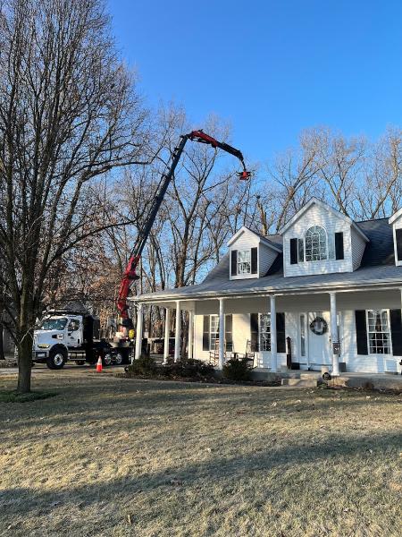 Cut-Rite Tree Services LLC