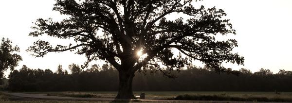 Bur Oak Home Inspections
