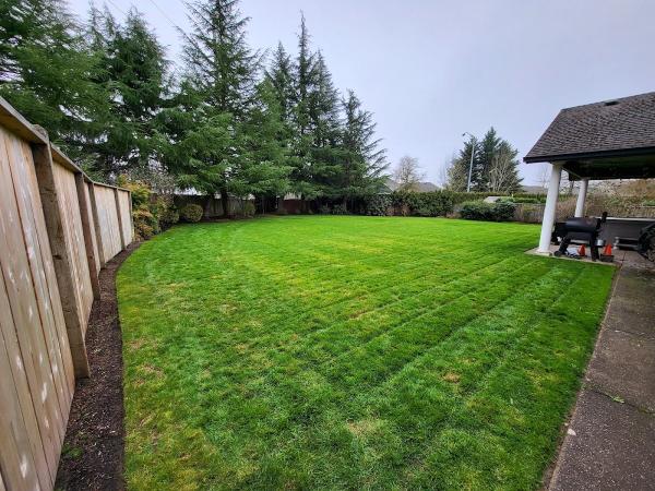 DT Lawn Care LLC