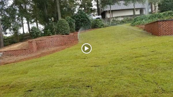 Michaelangelo's Sustainable Landscape & Design Group