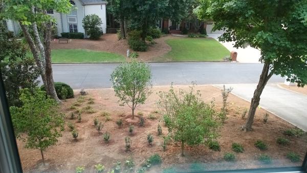 Michaelangelo's Sustainable Landscape & Design Group