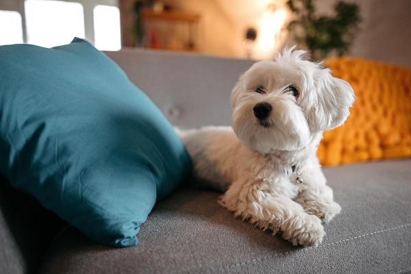 Doug Mueller's Professional Cleaning and Restoration